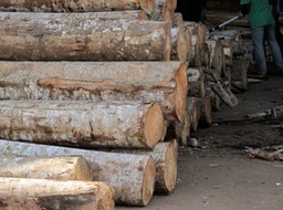 UNADJUSTEDNONRAW_thumb_73f